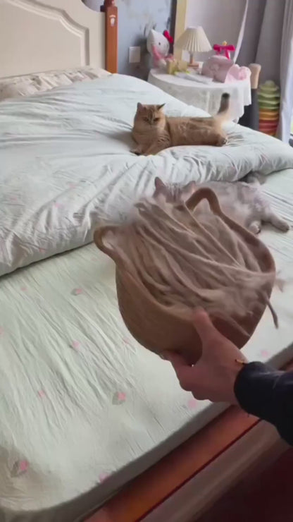 Pet Hair Remover Glove – Reusable Fur Cleaner