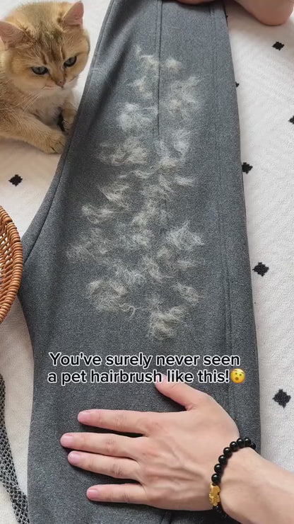 Pet Hair Remover Glove – Reusable Fur Cleaner